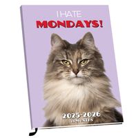 Plenty Gifts Agenda 26 I Hate Mondays pg