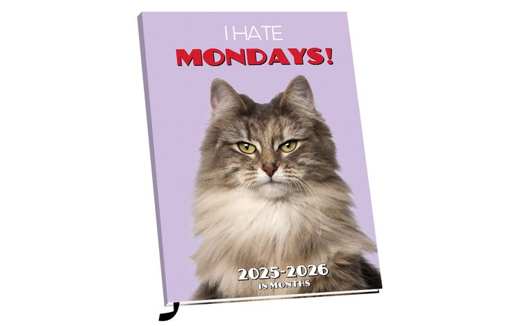 Plenty Gifts Agenda 26 I Hate Mondays pg