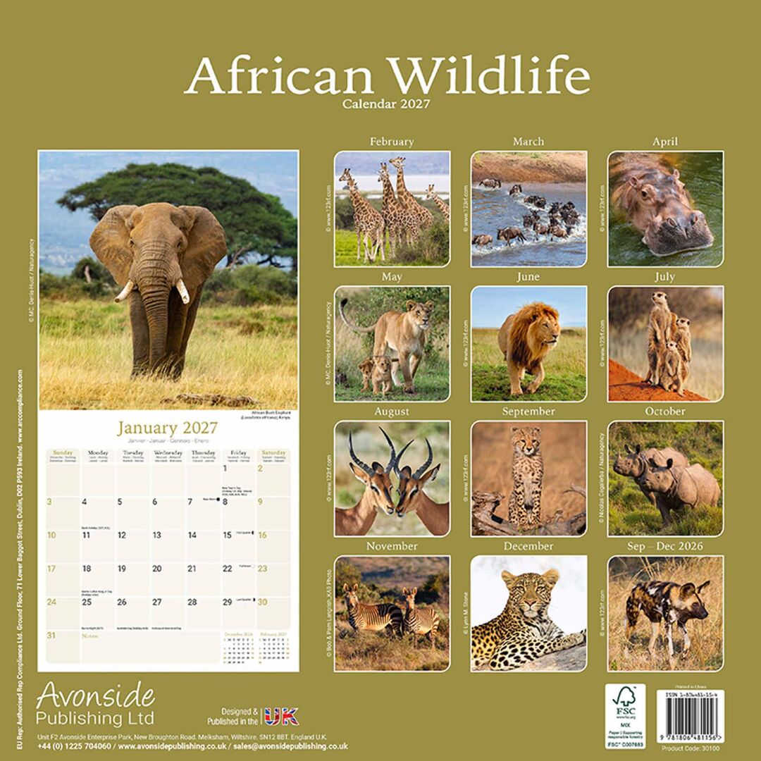 Avonside Kalender 27 African Wildlife as