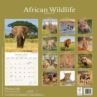 Avonside Kalender 27 African Wildlife as