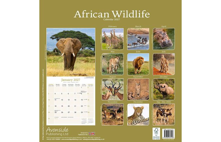 Avonside Kalender 27 African Wildlife as