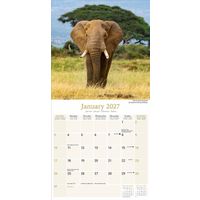 Avonside Kalender 27 African Wildlife as