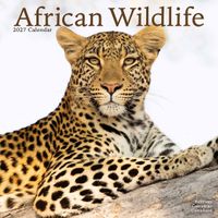 Avonside Kalender 27 African Wildlife as
