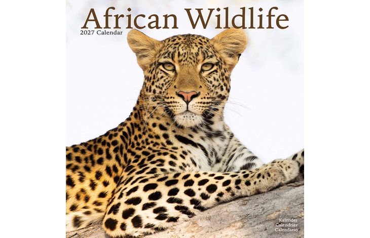 Avonside Kalender 27 African Wildlife as