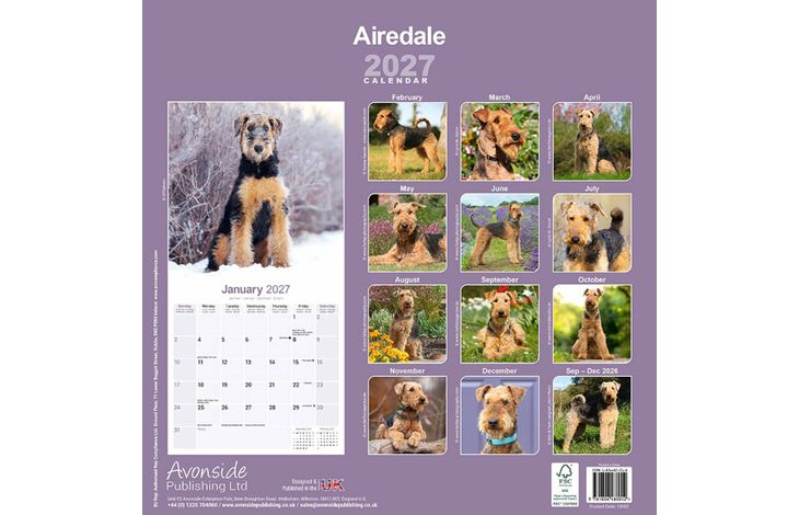 Avonside Kalender 27 Airedale Terriers as