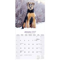 Avonside Kalender 27 Airedale Terriers as