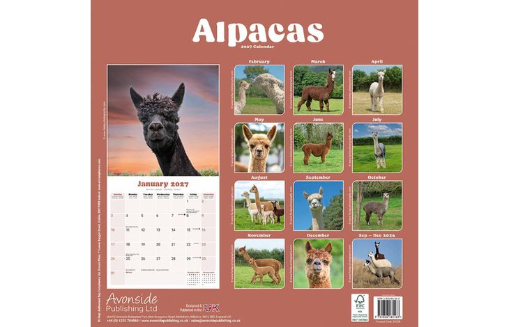 Avonside Kalender 27 Alpacas as