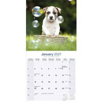 Avonside Kalender 27 Am Staff Terrier as
