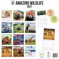 Plenty Gifts Kalender 27 Amazing Wildlife ToN pg