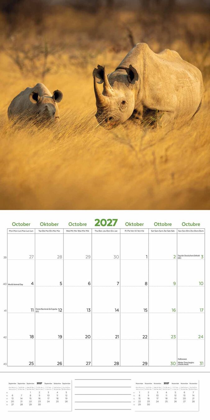 Plenty Gifts Kalender 27 Amazing Wildlife ToN pg