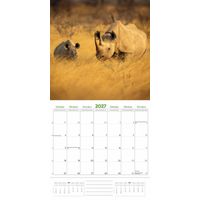 Plenty Gifts Kalender 27 Amazing Wildlife ToN pg