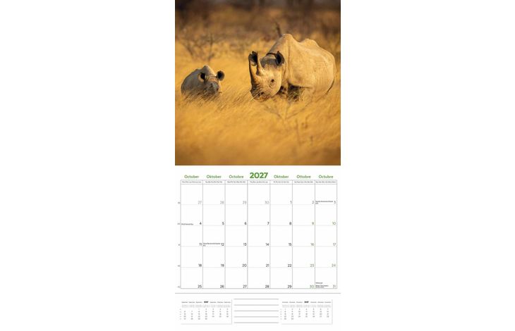 Plenty Gifts Kalender 27 Amazing Wildlife ToN pg
