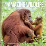 Kalender 27 Amazing Wildlife ToN pg