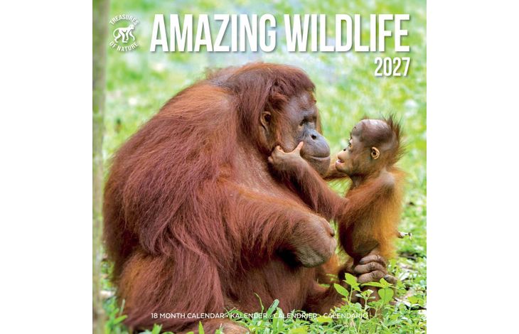 Plenty Gifts Kalender 27 Amazing Wildlife ToN pg