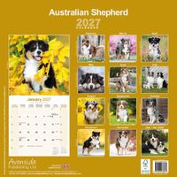 Avonside Kalender 27 Australian Shepherds as