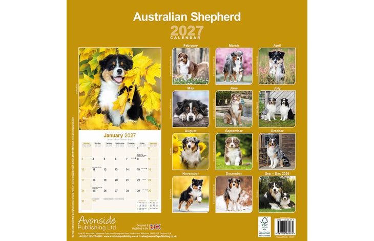 Avonside Kalender 27 Australian Shepherds as