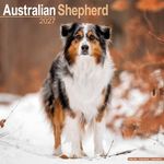 Kalender 27 Australian Shepherds as