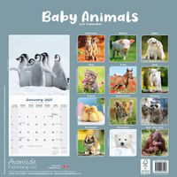 Avonside Kalender 27 Baby Animals as