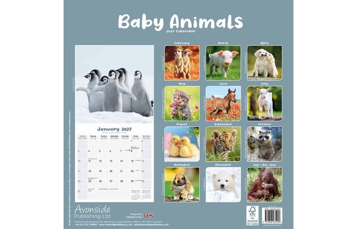 Avonside Kalender 27 Baby Animals as