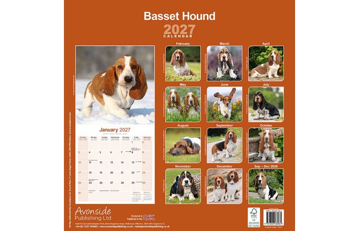 Avonside Kalender 27 Basset Hounds as