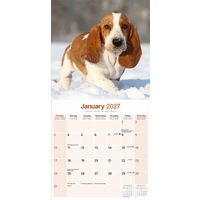Avonside Kalender 27 Basset Hounds as