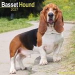 Kalender 27 Basset Hounds as