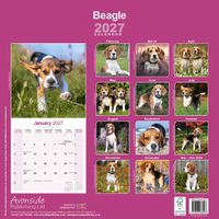 Avonside Kalender 27 Beagles as