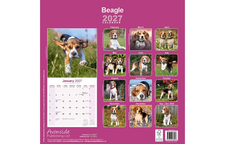 Avonside Kalender 27 Beagles as