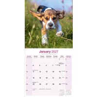 Avonside Kalender 27 Beagles as