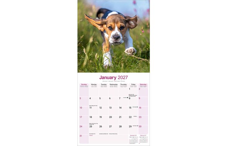 Avonside Kalender 27 Beagles as