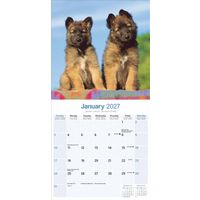 Avonside Kalender 27 Belgian Shepherd as