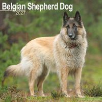 Avonside Kalender 27 Belgian Shepherd as