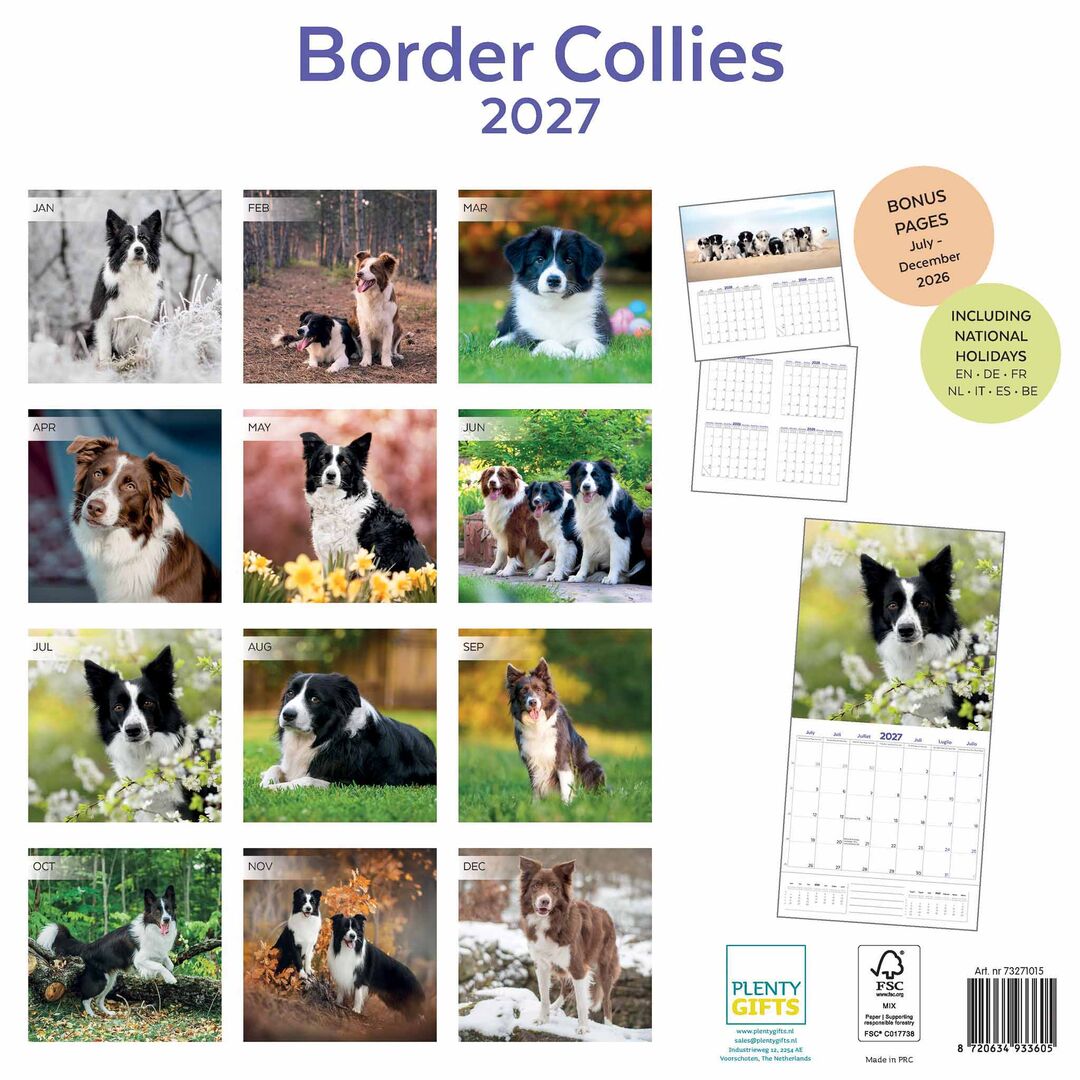 Plenty Gifts Kalender 27 Border Collies pg