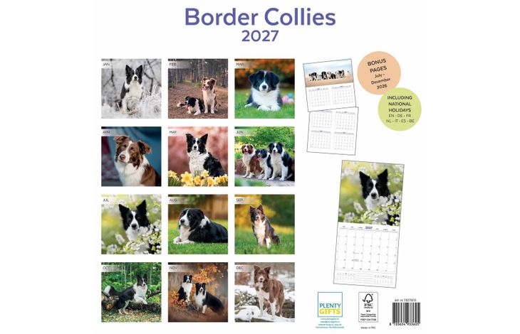 Plenty Gifts Kalender 27 Border Collies pg