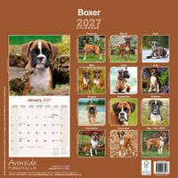 Avonside Kalender 27 Boxers as