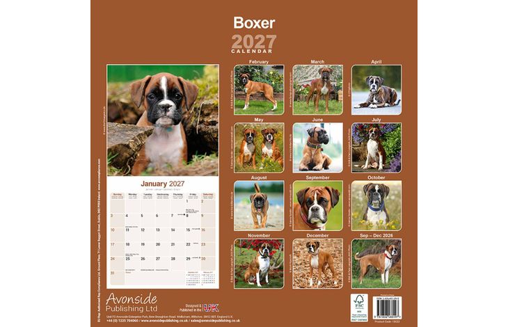 Avonside Kalender 27 Boxers as