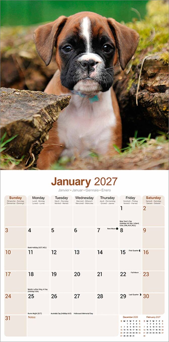 Avonside Kalender 27 Boxers as