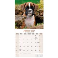 Avonside Kalender 27 Boxers as