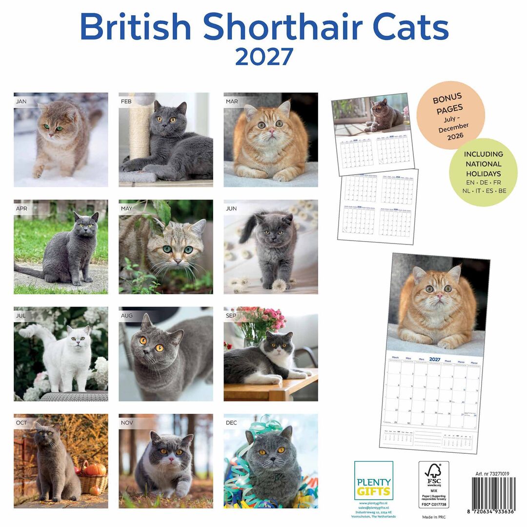 Plenty Gifts Kalender 27 Brit Shorth Cats pg