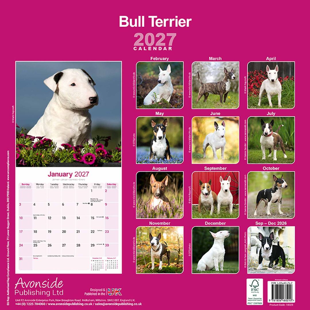 Avonside Kalender 27 Bull Terriers as