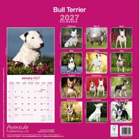 Avonside Kalender 27 Bull Terriers as