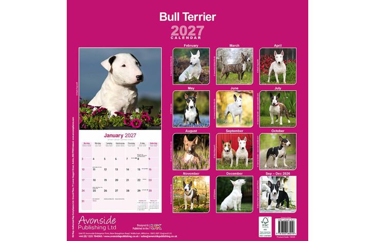 Avonside Kalender 27 Bull Terriers as