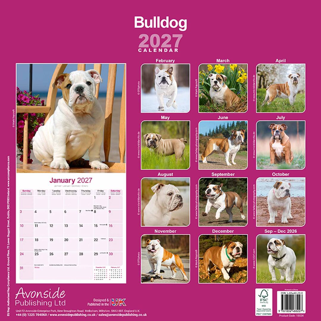 Avonside Kalender 27 Bulldogs as