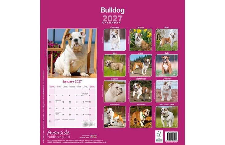 Avonside Kalender 27 Bulldogs as