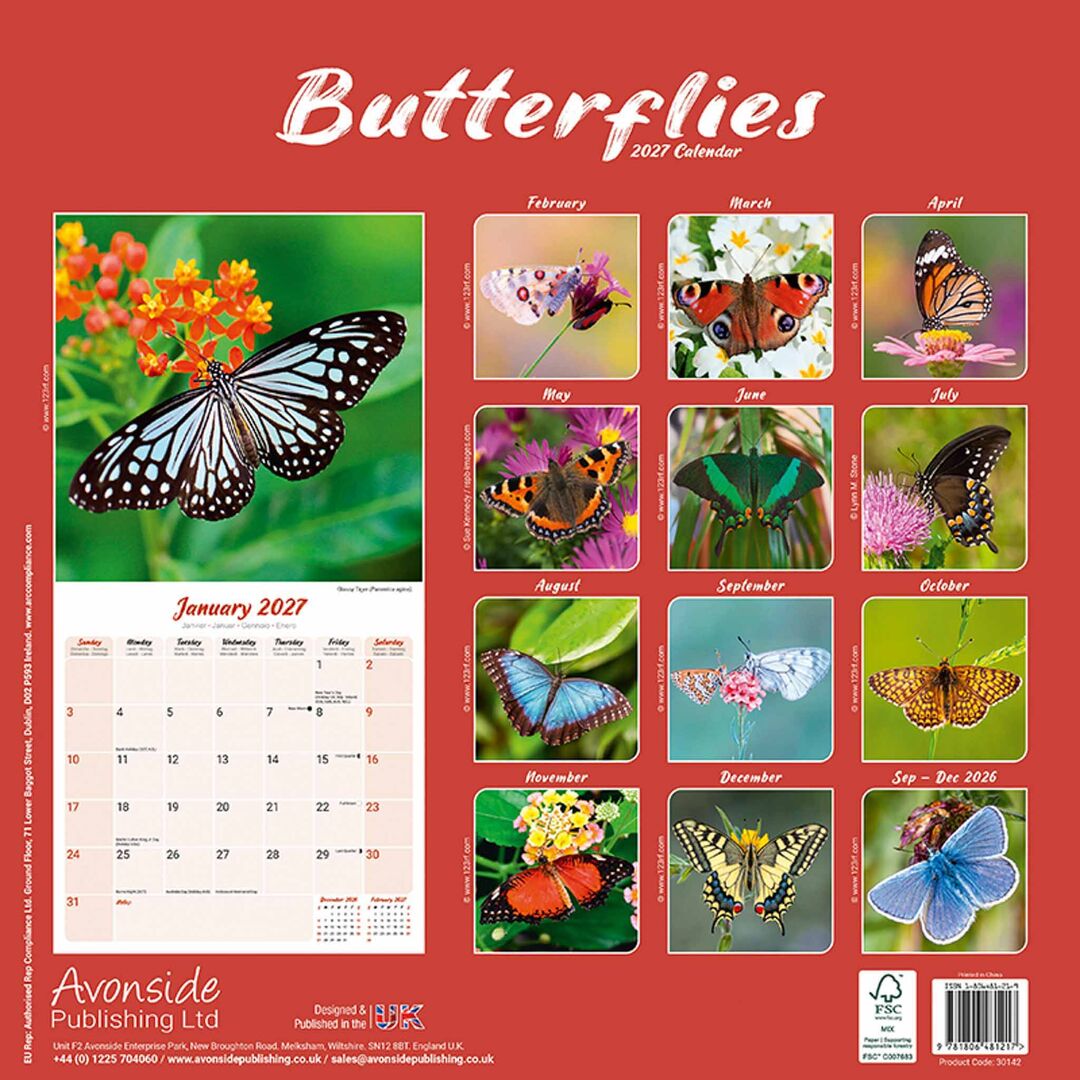 Avonside Kalender 27 Butterflies as