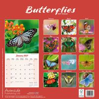 Avonside Kalender 27 Butterflies as