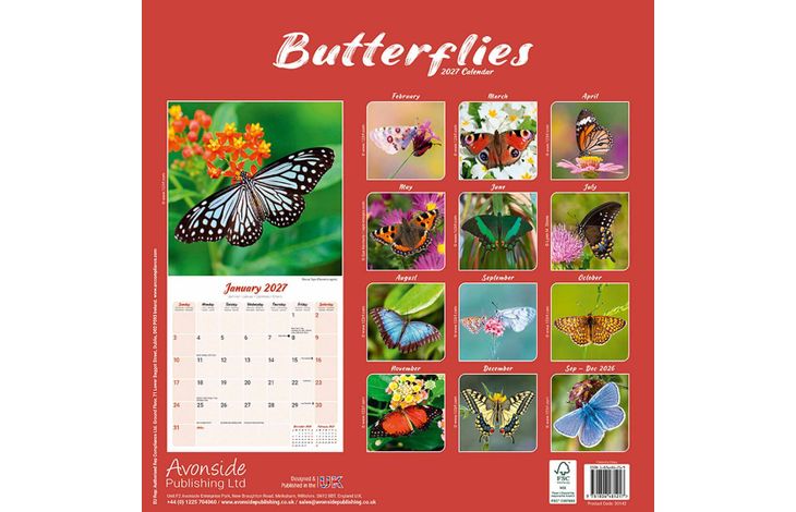 Avonside Kalender 27 Butterflies as