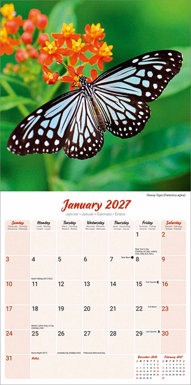 Avonside Kalender 27 Butterflies as