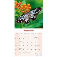 Avonside Kalender 27 Butterflies as