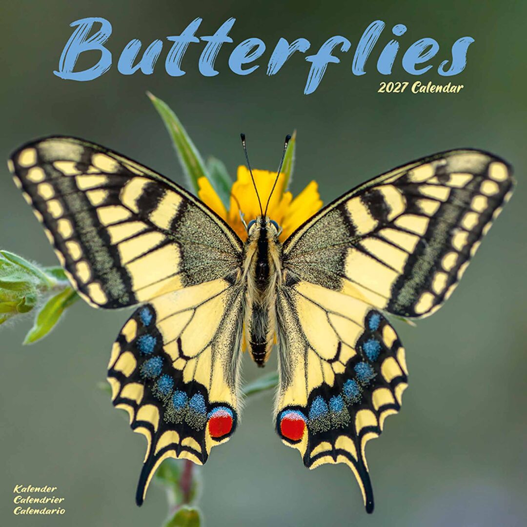 Avonside Kalender 27 Butterflies as